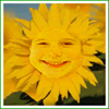 Photo Fantasy: Facial Morph Into Sunflower